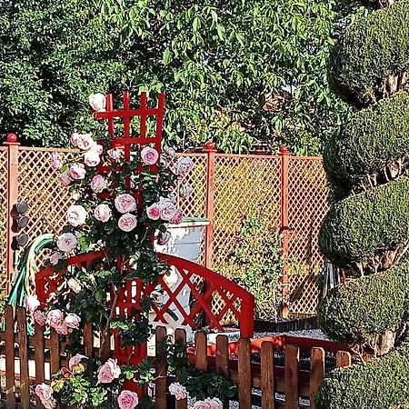 Une Pause Quelque Part Au Jardin Des Erables Et Des Niwakis Saint-Medard-de-Guizieres المظهر الخارجي الصورة