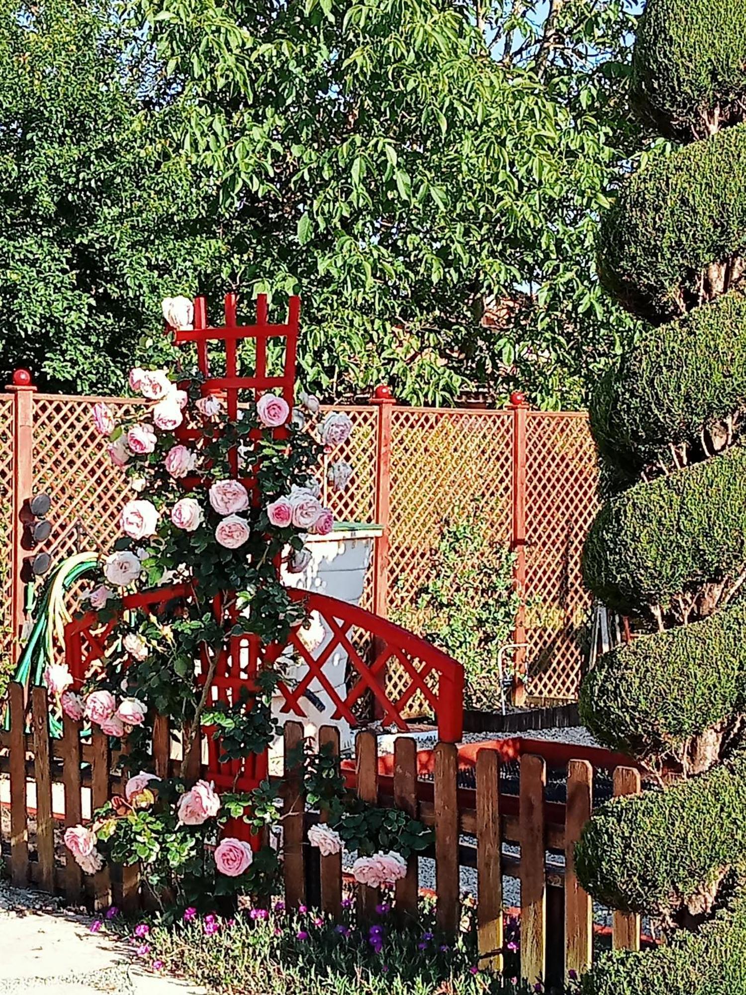Une Pause Quelque Part Au Jardin Des Erables Et Des Niwakis Saint-Medard-de-Guizieres المظهر الخارجي الصورة